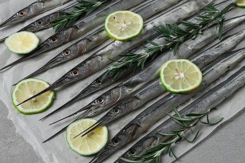 Fresh, Black Sea fish. raw, sargan, sea pike, top view, no people
