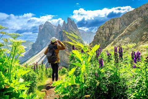 Female hiker enjoying the breathtaking view of the odle mountains on seceda during a sunny summer