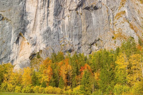Gößler Wand in autumn. It is a rockwall of 180 m height between the lakes Toplitzsee and Grundlsee.