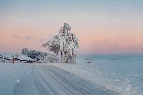 Deep snowy winter morning mood near Halblech in the foothills of the Alps in the Allgäu with the