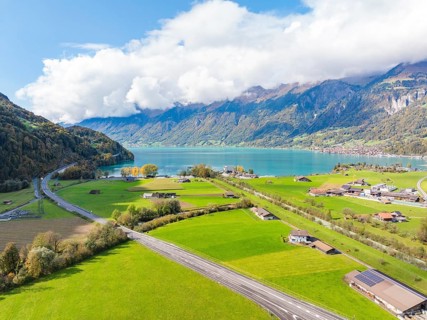 Painted meadow landscape by the lake with mountains in the background, Lake Brienz, Switzerland,