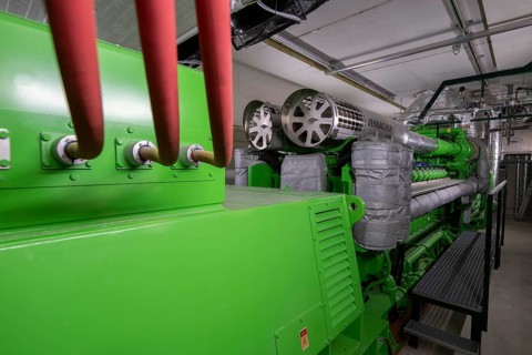 Biogas plant, gas-powered engine for electricity production, generator, in combined heat and power