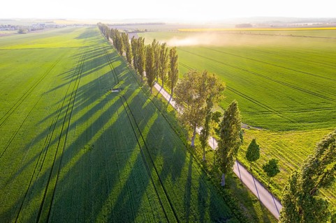 Aerial view of an avenue with evening sun, Kesseldorf, Wilsdruff, Saxony, Germany, Europe