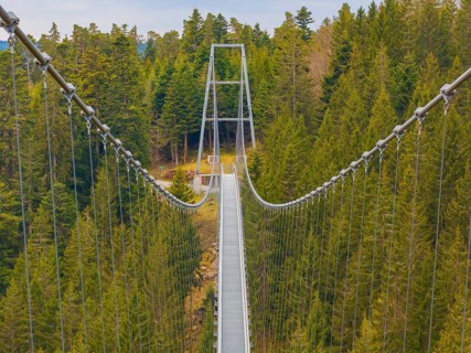 Long suspension bridge stretches over a green forest from the perspective of a walker, Wildline