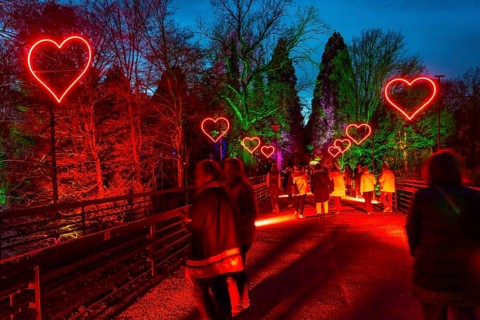 Parkleuchten, event in winter, in the Grugapark in Essen, many different light installations,