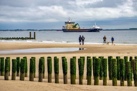 North Sea coast in Zeeland, called Zeeland Riviera, breakwater, made of wooden piles, near