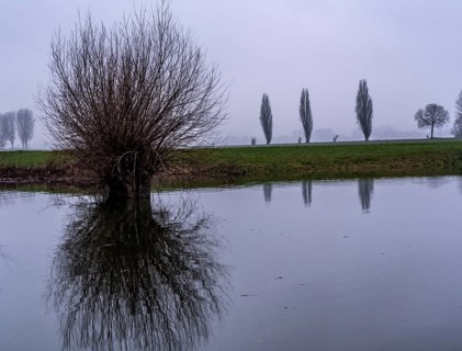 High water on the Rhine at Düsseldorf-Kaiserswerth, foggy weather, riverside paths and Rhine