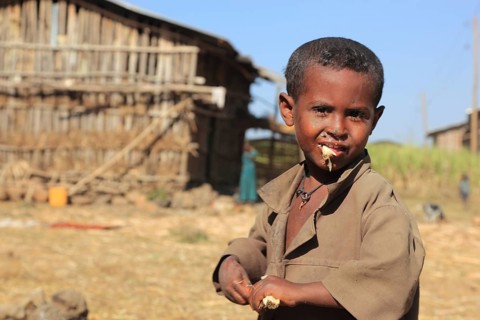 Amhara region, boy on a small farm chewing, eating sugar cane, Ethiopia, Africa