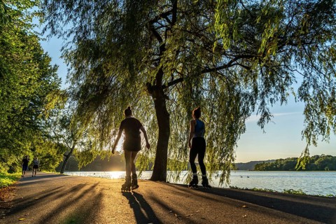 Inline skaters on Lake Baldeney, around 14 kilometres around the Ruhr reservoir, summer evening on