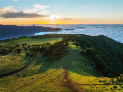 Aerial view of idyllic scenic Fanal Laurisilva forest with centuries-old til trees above clouds on