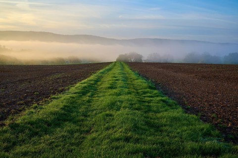 A long grassy path leads through a field surrounded by mist and rolling hills, Schmachtenberg,