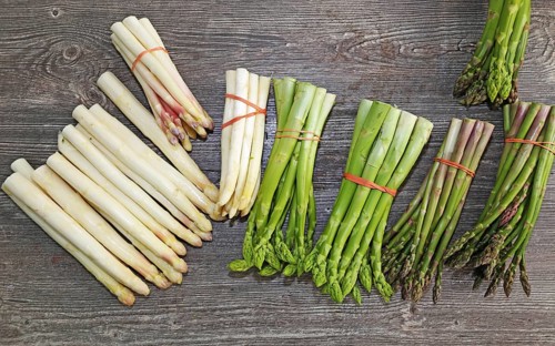 Green asparagus and white asparagus decorated on a rustic wooden table