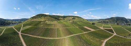 Panoramic aerial view of the vineyards of Ellenz-Poltersdorf at the Moselle river, Germany, Europe