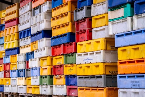 The town harbour of Sassnitz, island of Rügen, boxes of fish waiting for the new catch, at the
