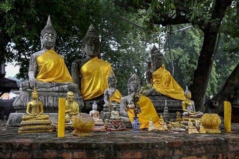 Buddha statues in Wat Yai Chai Mongkhon, Buddhist temple, Ayutthaya, Ayutthaya province, Thailand,