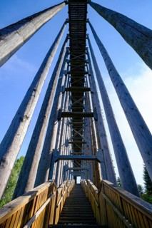 Sky ladder on the Schremser Hochmoor, municipality of Schrems, Waldviertel, Lower Austria, Austria,