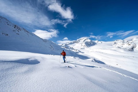 Ski tourers in a snow-covered mountain landscape, mountain peak Monte Cevedale and glacier