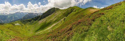 Alpine rose blossom, panorama from the Fellhorn over the Schlappoldsee and mountain station of the