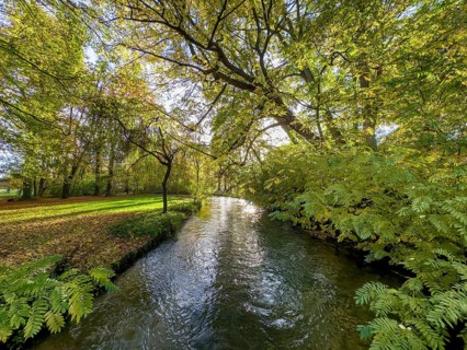 Autumn atmosphere in the English Garden, Schwabinger Bach, Munich, Bavaria, Germany, Europe