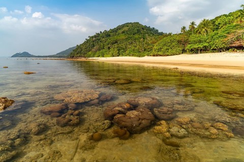 Corals at Haad Lang Khao beach on the island of Koh Libong in the Andaman Sea, Thailand, Asia