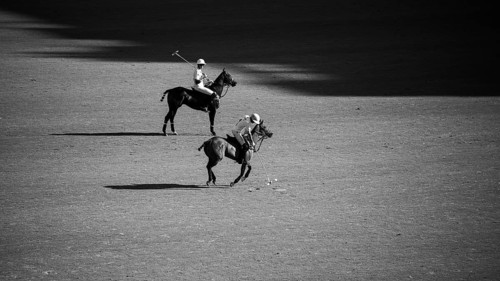 Scene from the 131st Argentine Open Polo Championship (Spanish: Campeonato Argentino Abierto de