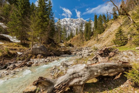 Enger-Grund creek, Eng valley, Austria, Europe