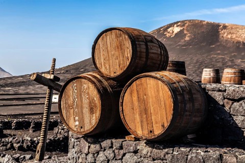 2016, La Geria, Lanzarote, La Geria, ESP, Spain, Canary Islands, Canary Islands, Atlantic Ocean,
