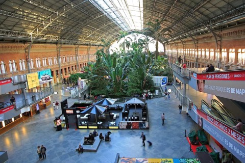 Tropical rainforest plants growing in garden inside Atocha railway station, Madrid, Spain, Europe
