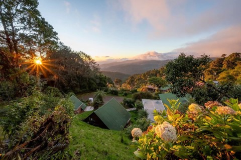 Cabins of a lodge in the cloud forest, in the evening light, Paraiso Quetzal Lodge, view over