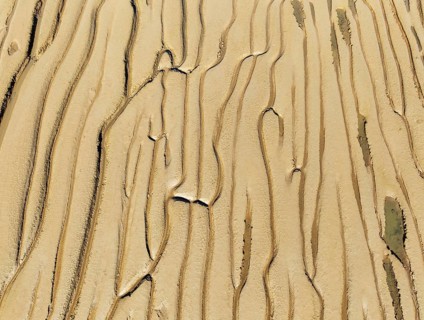 Network of channels and streams at low tide. In the marshland adjacent to the Odiel river. Aerial