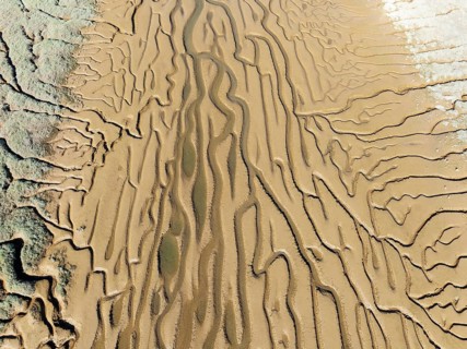Network of channels and streams at low tide. In the marshland adjacent to the Odiel river. Aerial