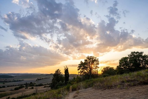 Typical Tuscan landscape in Val d'Orcia with hills, trees, fields, cypresses and farm road in