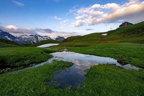 Summit in the morning light with dramatic clouds and marsh marigolds (Caltha) with stream in the