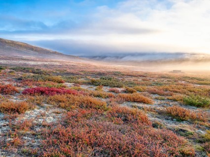 Dovrefjell National Park in autumn, the first rays of sunshine, mountains and fog, frost, Oppdal,