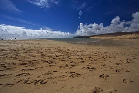 Beach Playa Risco del Paso, Playa de Sotavento with footprints in front of a cloudy blue sky,