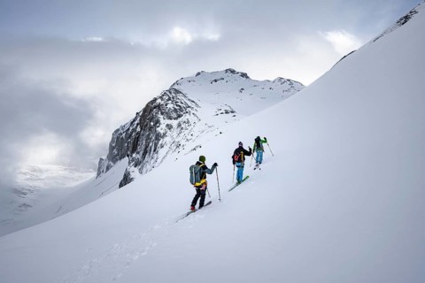 Three ski tourers in a snowy mountain landscape in the morning light, ascent to the Wildhorn,