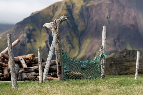 Driftwood fence, Reykjarfjörður, Strandir, Árnes, Westfjords, Iceland, Europe