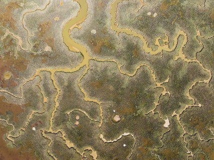 Network of channels and streams at low tide. In the marshland of the Piedras River. Aerial view.