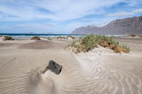Dune landscape, Playa de Famara, Lanzarote, Canary Islands, Spain, Europe