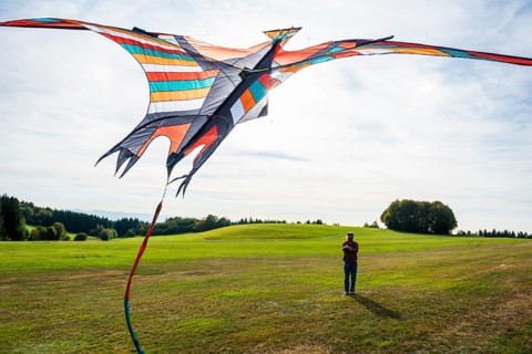 Large stunt kite, Hütten, Rickenbach, Hotzenwald, Southern Black Forest, Black Forest,