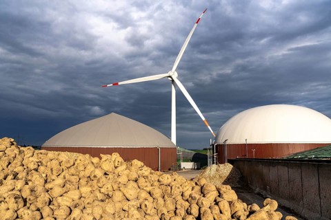Biogas plant produces gas from various biomass, here the sugar beet storage, the electricity is