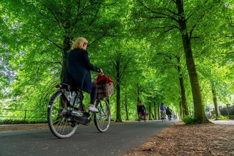 Promenade cycle path, tree-lined, car-free, approximately 4.5 km long ring road around the city