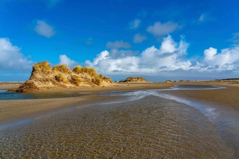 Dune landscape, sand dunes, dune grass in the west of Borkum, island, East Frisia, winter, season,