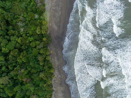 Top-down, aerial view, beach and sea, coast with rainforest, Tortuguero National Park, Costa Rica,