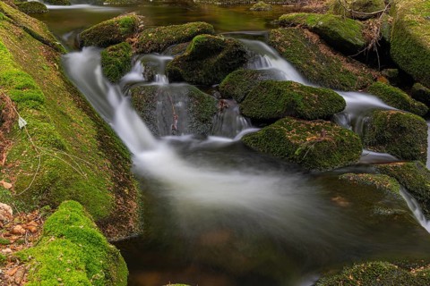 Kleine Ohe creek below Waldhaeuser village in the Bavarian Forest Nationalpark. Flowing water,