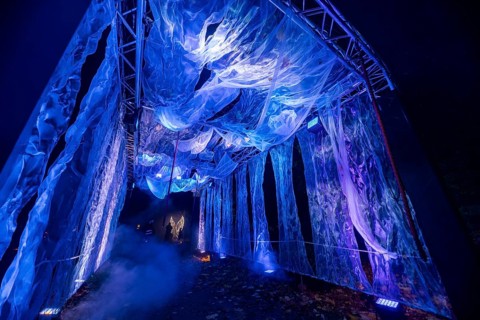 It's the most beautiful time of the year when the sparkling evening trail finally lights up