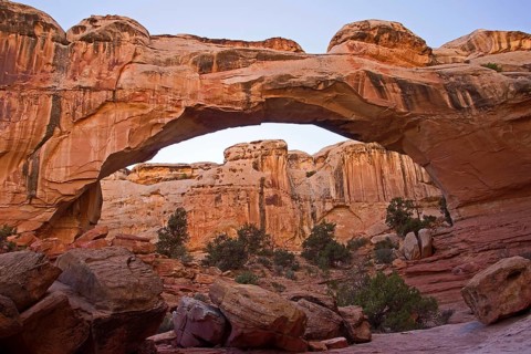 Capitol Reef NP, Utah, USA, Capitol Reef NP, Utah, USA, North America
