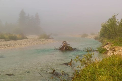 Isar valley nature conservancy area. The wild Isar river flows through its gravel bed past