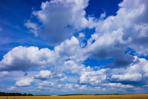 Summer landscape around Geising in the Ore Mountains, Geising, Geising, Saxony, Germany, Europe