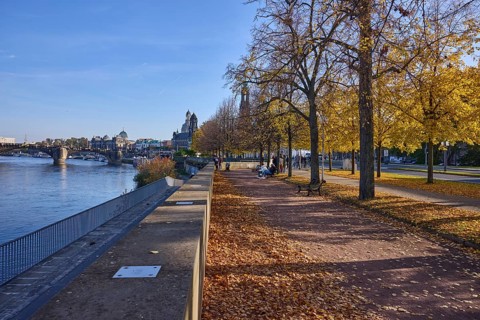 Footpath, Elbe, river, trees, light-flooded autumn foliage, wall, Augustus Bridge, metal railing,